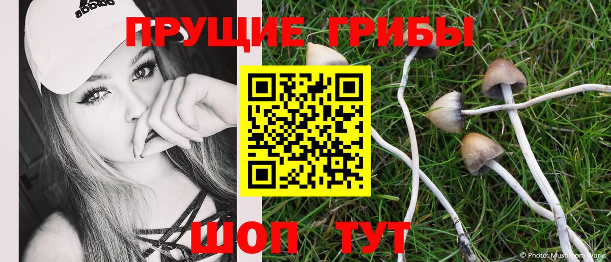 Йошкар-Ола  Галлюциногенные грибы ЛСД  Вход с VPN  Псилоцибиновые грибы мицелий 